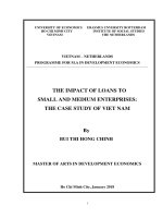 The impact of loans to small and medium enterprises the case study of vietnam 