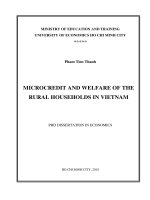 Microcredit and welfare of the rural households in vietnam 