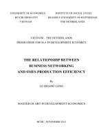 The relationship between business networking and SMEs production efficiency 