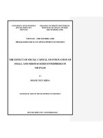 The effect of social capital on innovation of SMEs in vietnam 