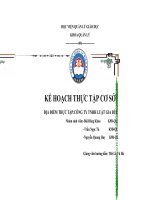 kế hoạch thực tập mới