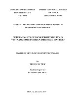 Determinants of bank profitability in vietnam does foreign presence matter 
