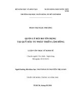 LUẬN VĂN THẠC SỸ KINH TẾ  QUẢN LÝ RỦI RO TÍN DỤNG  TẠI QUỸ ĐẦU TƯ PHÁT TRIỂN LÂM ĐỒNG