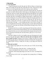 SKKN một số trò chơi học tập rèn kĩ năng đọc cho HS lớp 1 là người vân kiều