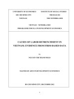 Causes of labor retrenchment in vietnam evidence from firm based data 