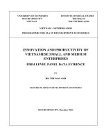 Innovation and productivity of SMEs in vietnam   firm level panel data evidence 