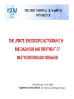Endoscopic ultrasound in diagnosis and treatment of treatment