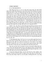 Hướng dẫn học sinh giải bài tập vật lí theo phương pháp dạy học tích cực SKKN THPT