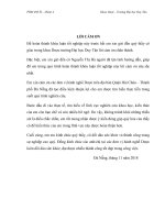 Thực phẩm chức năng hỗ trợ điều trị xương khớp Glucosamine