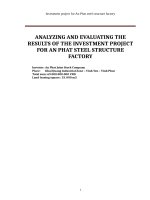 PHÂN TÍCH  ĐÁNH GIÁ HIỆU QUẢ  dự án“đầu tư NHÀ máy kết cấu THÉP AN PHÁT e 