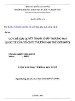 Cơ chế giải quyết tranh chấp thương mại quốc tế của tổ chức thương mại thế giới (WTO)  