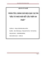 PHÂN TÍCH  ĐÁNH GIÁ HIỆU QUẢ  dự án“đầu tư NHÀ máy kết cấu THÉP AN PHÁT v 