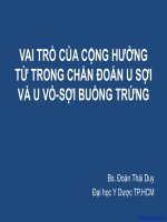 Vai trò của cộng hưởng từ trong chẩn đoán u sợi và u vỏ sợi buồng trứng