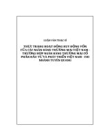 LUẬN văn THỰC TRẠNG HOẠT ĐỘNG HUY ĐỘNG vốn của các NGÂN HÀNG THƯƠNG mại VIỆT NAM 