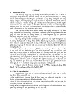 SKKN kinh nghiệm sử dụng atlat địa lí việt nam để dạy và học tốt địa lí lớp 12