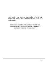 PHÁT TRIỂN THỊ TRƯỜNG sản PHẨM “nắp bể cáp THÔNG TIN   điện lực” tại CÔNG TY đúc GANG cầu THIÊN PHÁT  e 