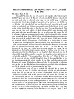 Phương pháp hàm số giải phương trình mũ và logarit SKKN THPT