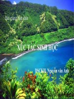 BÀI GIẢNG HÓA SINH xúc tác SINH học