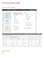 Cấu hình Splunk gửi cảnh báo qua gmail