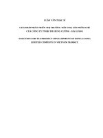 Giải pháp phát triển thị trường tiêu thụ sản phẩm chè của công ty TNHH TM hùng cường   hà giang e 