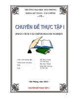 Phân tích tình hình tài chính doanh nghiệp của công ty cổ phần thương mại vận tải hoàng hà 