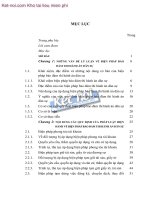 Biện pháp bảo đảm thi hành án dân sự  