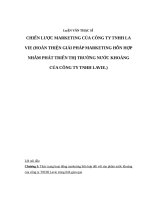Luận văn thạc sĩ giải pháp hoàn thiện chiến lược maketing mix tại công ty nước khoáng lavie v 