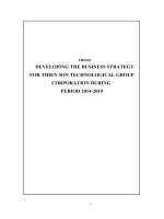 LUẬN văn CHIẾN lược KINH DOANH CÔNG TY cổ PHẦN tập đoàn THIÊN sơn e 