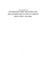Giải pháp phát triển thị trường tiêu thụ sản phẩm chè của công ty TNHH TM hùng cường   hà giang 