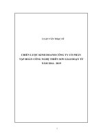 LUẬN văn CHIẾN lược KINH DOANH CÔNG TY cổ PHẦN tập đoàn THIÊN sơn 
