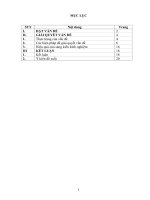 SKKN Đổi mới phương pháp dạy Luyện từ và câu lớp 4