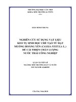 La nghiên cứu sử dụng vật liệu keo tụ sinh học chế tạo từ hạt muồng hoàng yến (cassia fistulal ) để cải thiện chất lượng nước thải công nghiệp