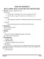 Giáo án Sinh học 8 bài 15: Đông máu và nguyên tắc truyền máu