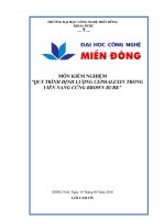 BAI TIEU LUAN KIEM NGHIEM VIEN NANG CUNG BROWN BURK