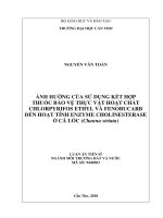 La ảnh hưởng của sử dụng kết hợp thuốc bảo vệ thực vật hoạt chất chlorpyrifos ethyl va fenobucarb đến hoạt tính enzyme cholinesterase ở cá lóc