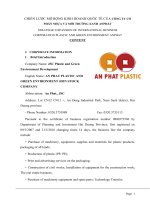 CHIẾN lược mở RỘNG KINH DOANH QUỐC tế của CÔNG TY cổ PHẦN NHỰA và môi TRƯỜNG XANH ANPHÁTe 