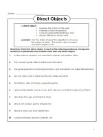 English Grammar - Direct objects