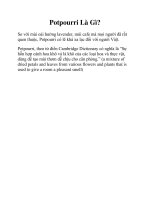 Potpourri là gì? mùi thơm potpourri