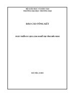 BÁO CÁO TỔNG KẾT  PHÁT TRIỂN DU LỊCH LÀNG NGHỀ TẠI TỈNH BẮC NINH
