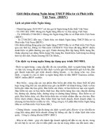 Giới thiệu chung Ngân hàng TMCP Đầu tư và Phát triển Việt Nam   (BIDV)