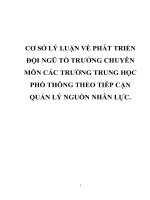 CƠ sở lý LUẬN về PHÁT TRIỂN đội NGŨ tổ TRƯỞNG CHUYÊN môn các TRƯỜNG TRUNG học PHỔ THÔNG THEO TIẾP cận QUẢN lý NGUỒN NHÂN lực