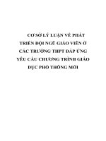 CƠ sở lý LUẬN về PHÁT TRIỂN đội NGŨ GIÁO VIÊN ở các TRƯỜNG THPT đáp ỨNG  yêu cầu CHƯƠNG TRÌNH GIÁO dục PHỔ THÔNG mới