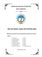 QUẢN TRỊ THƯƠNG HIỆU  Xây dựng chiến lược thương hiệu giày Thượng Đình