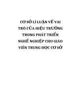CƠ sở lí LUẬN về VAI TRÒ của HIỆU TRƯỞNG TRONG PHÁT TRIỂN NGHỀ NGHIỆP CHO GIÁO VIÊN TRUNG học cơ sở