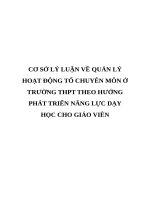 CƠ sở lý LUẬN về QUẢN lý HOẠT ĐỘNG tổ CHUYÊN môn ở TRƯỜNG THPT THEO HƯỚNG