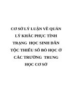 CƠ sở lý LUẬN về QUẢN lý KHẮC PHỤC TÌNH TRẠNG  học SINH dân tộc THIỂU số bỏ học ở các TRƯỜNG  TRUNG học cơ sở