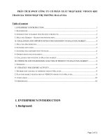 PHÂN TÍCH SWOT CÔNG TY cổ PHẦN XUẤT NHẬP KHẨU VIFOCO KHI THAM GIA THÂM NHẬP THỊ TRƯỜNG MALAYXIAE 