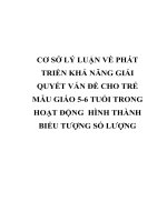 CƠ sở lý LUẬN về PHÁT TRIỂN KHẢ NĂNG GIẢI QUYẾT vấn đề CHO TRẺ mẫu GIÁO 5 6 TUỔI TRONG HOẠT ĐỘNG  HÌNH THÀNH BIỂU TƯỢNG số LƯỢNG