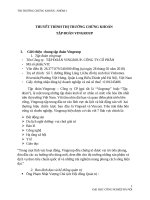 THỊ TRƯỜNG CHỨNG KHOÁN :  VINGROUP