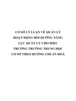 CƠ sở lý LUẬN về QUẢN lý HOẠT ĐỘNG bồi DƯỠNG NĂNG lực QUẢN lý CHO HIỆU TRƯỞNG TRƯỜNG TRUNG học cơ sở THEO HƯỚNG CHUẨN HOÁ